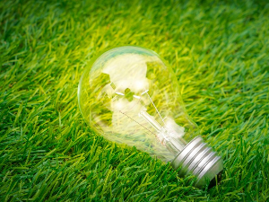 eco-concept-light-bulb-grow-grass_1232-2702.jpg